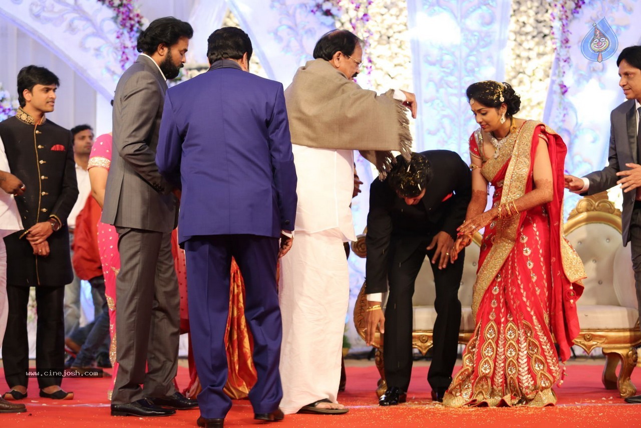 Aadi and Aruna Wedding Reception 02 - 143 / 170 photos