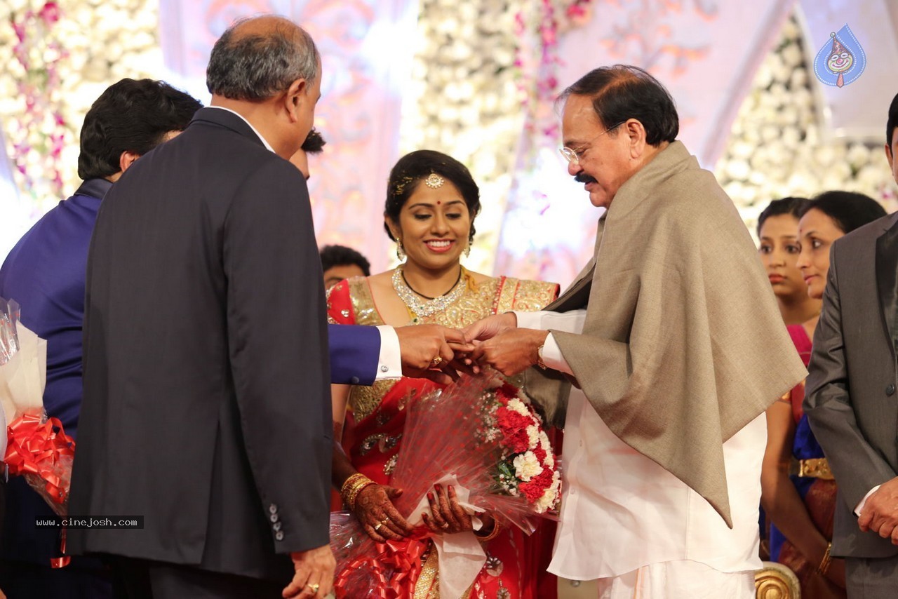Aadi and Aruna Wedding Reception 02 - 146 / 170 photos