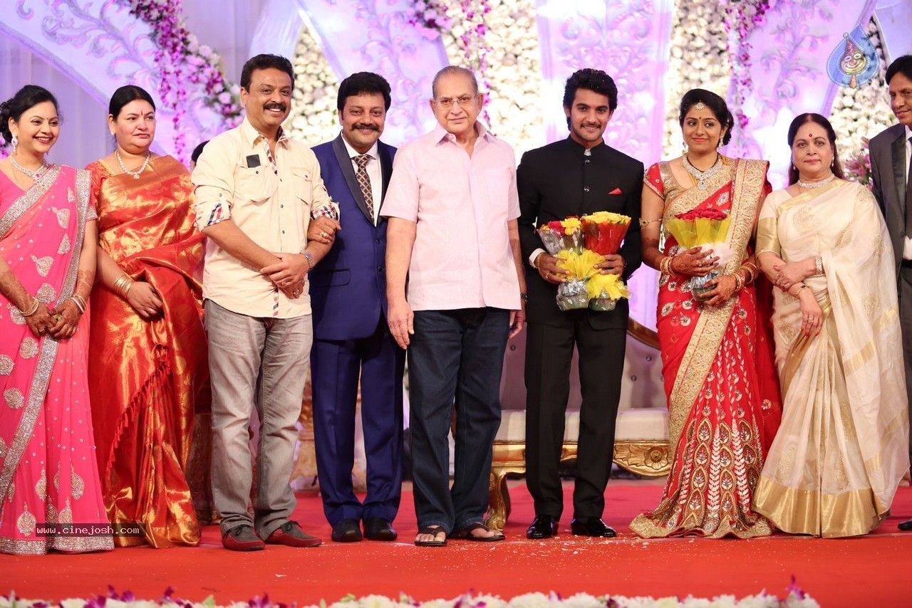 Aadi and Aruna Wedding Reception 02 - 148 / 170 photos