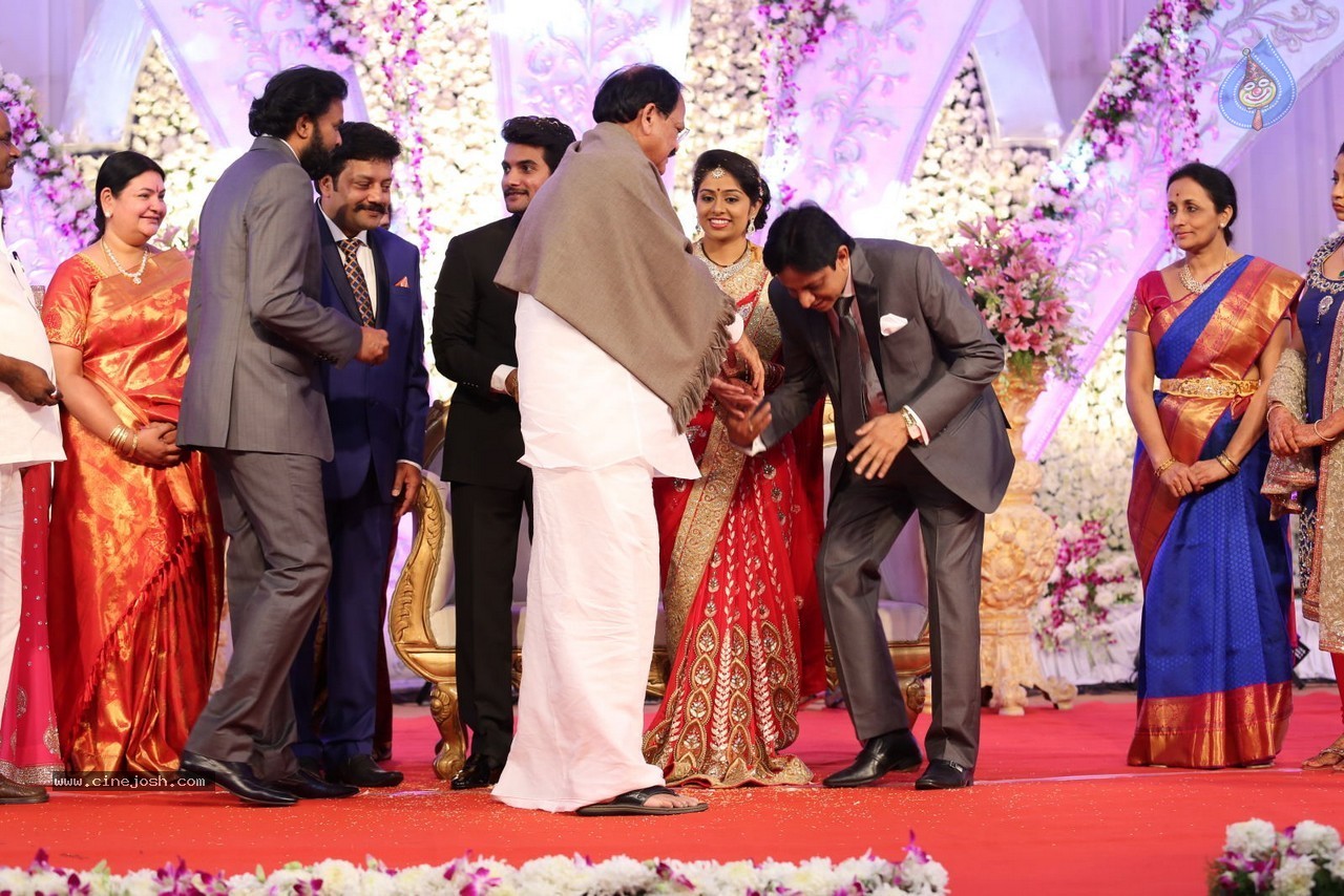 Aadi and Aruna Wedding Reception 02 - 149 / 170 photos