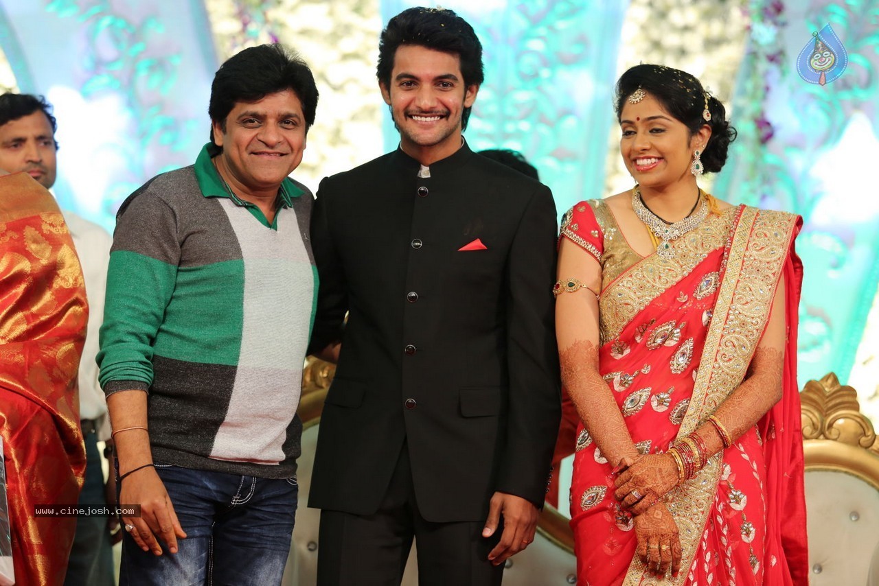 Aadi and Aruna Wedding Reception 02 - 151 / 170 photos