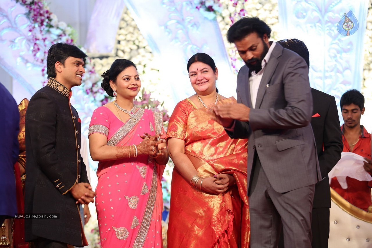 Aadi and Aruna Wedding Reception 02 - 153 / 170 photos
