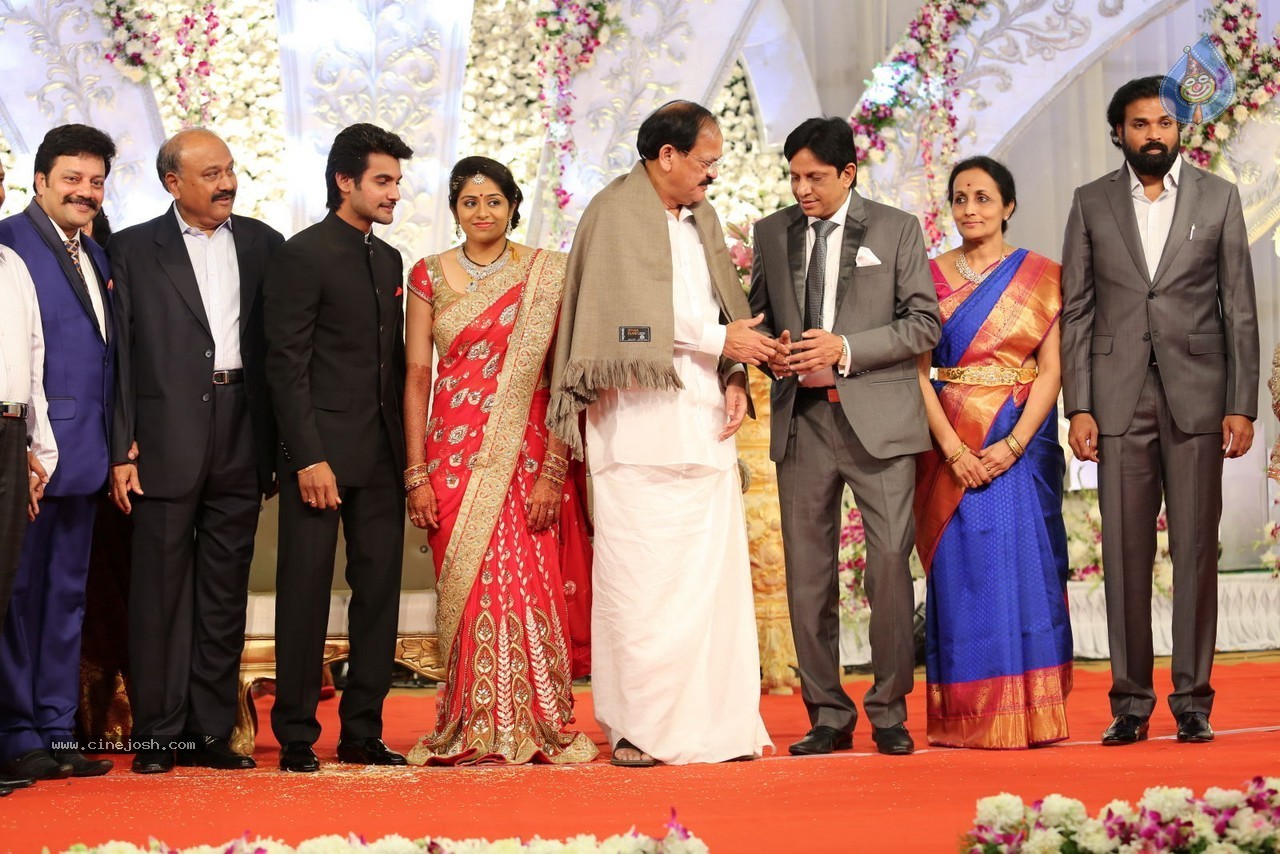 Aadi and Aruna Wedding Reception 02 - 154 / 170 photos
