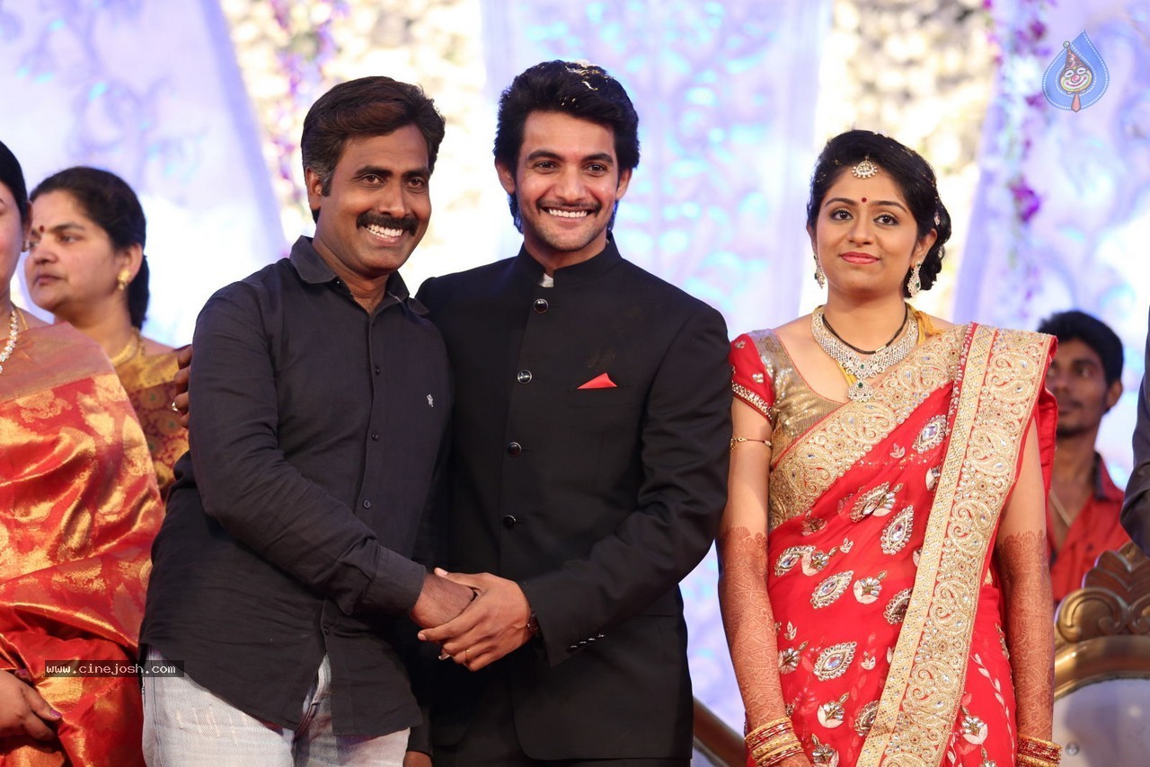 Aadi and Aruna Wedding Reception 02 - 162 / 170 photos