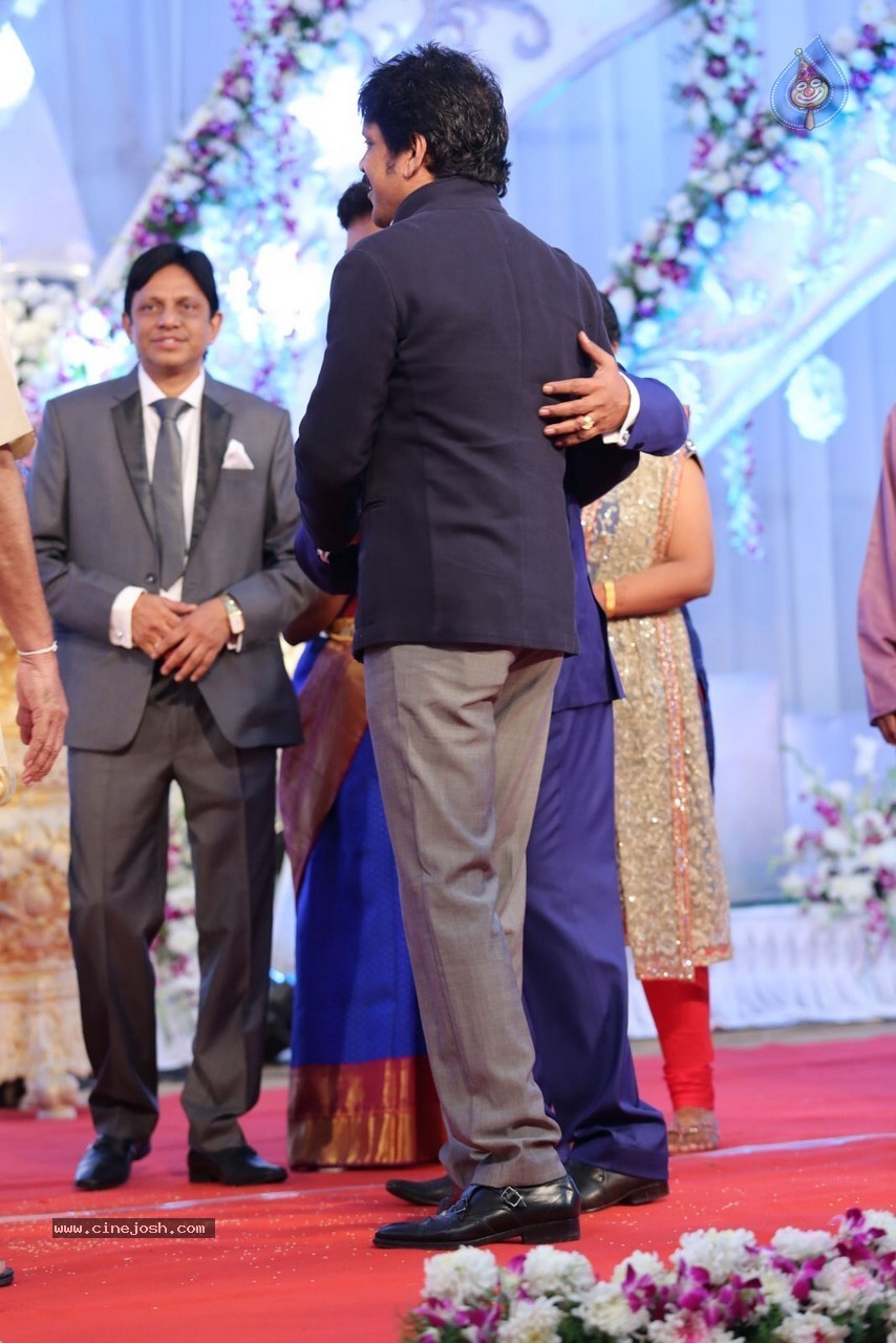Aadi and Aruna Wedding Reception 02 - 163 / 170 photos