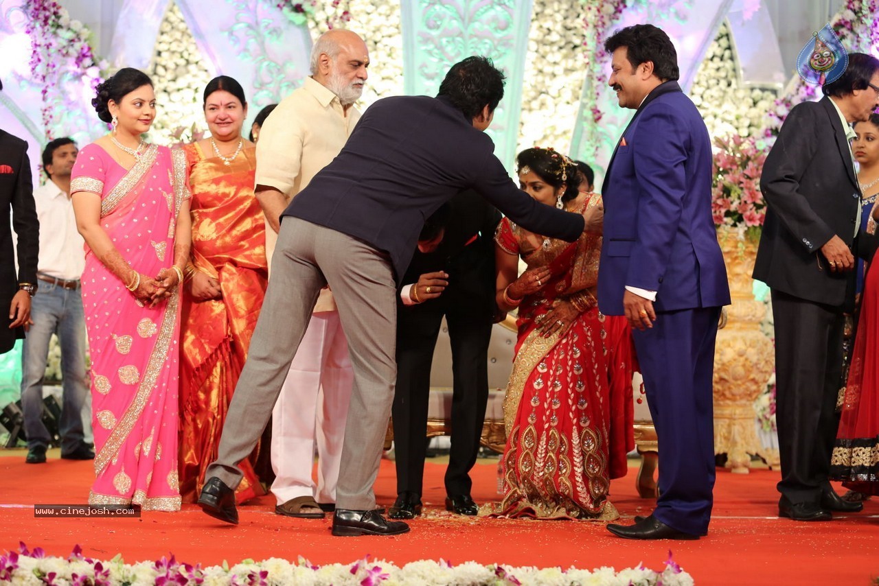 Aadi and Aruna Wedding Reception 02 - 167 / 170 photos