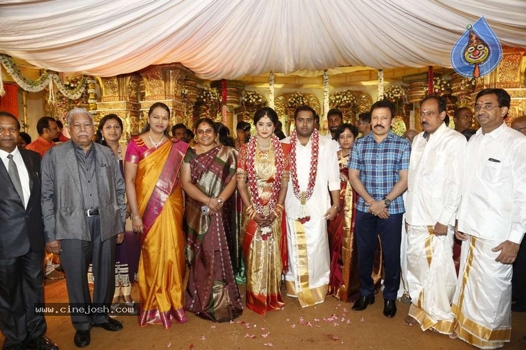 Abinesh Elangovan and Nandhini Wedding Reception - 24 / 42 photos