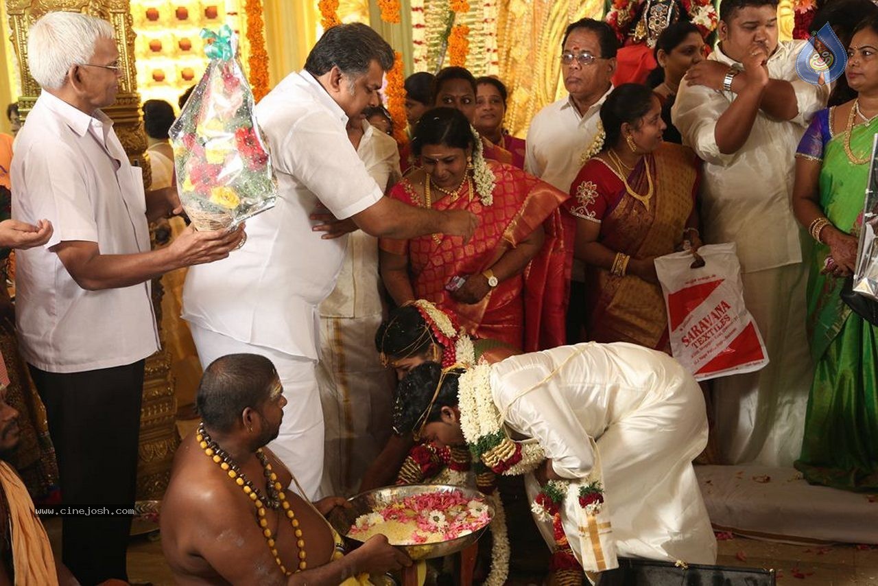 Actor Pandiarajan Son Wedding Photos - 30 / 73 photos