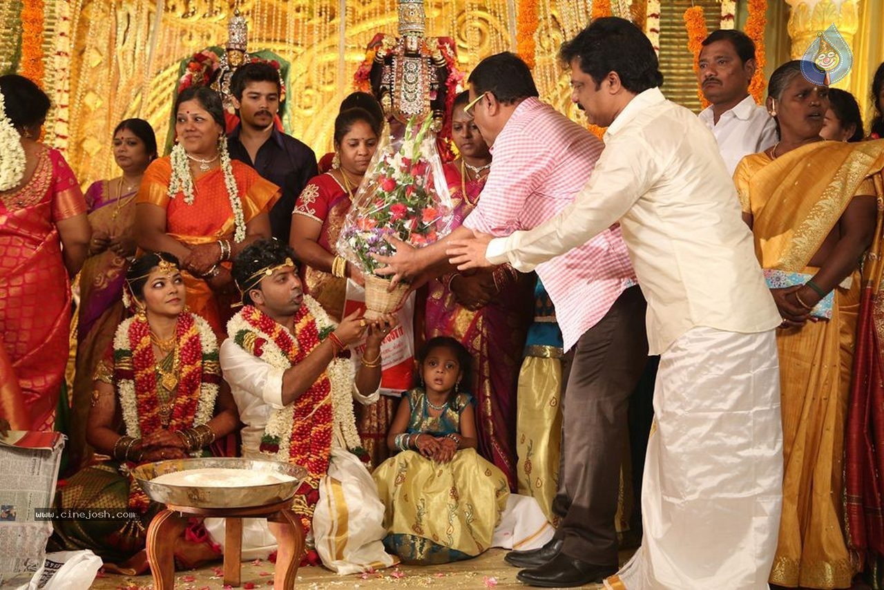 Actor Pandiarajan Son Wedding Photos - 33 / 73 photos