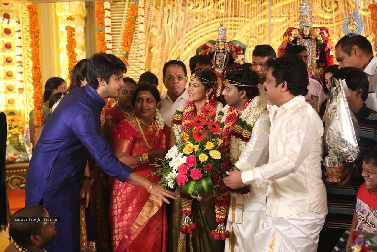 Actor Pandiarajan Son Wedding Photos - 38 / 73 photos