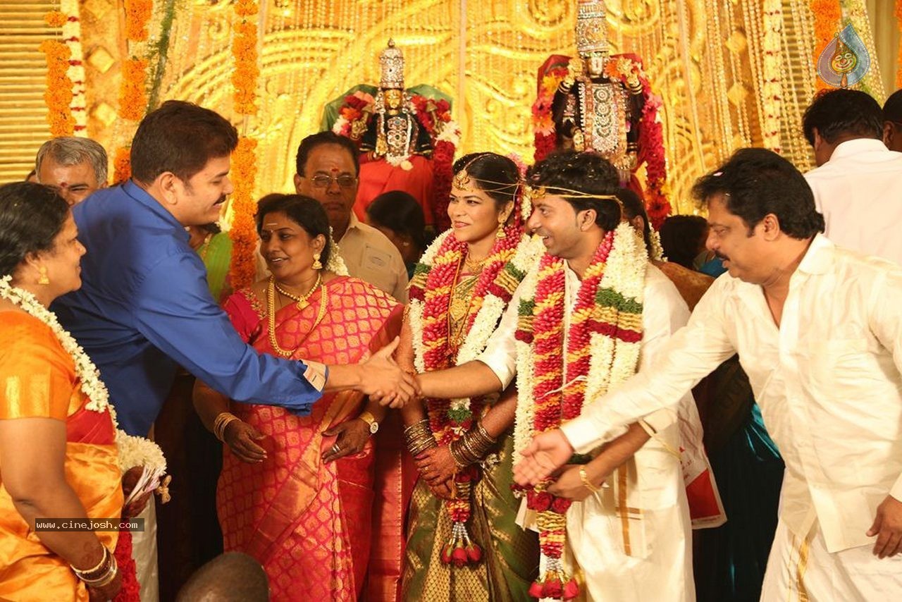 Actor Pandiarajan Son Wedding Photos - 43 / 73 photos