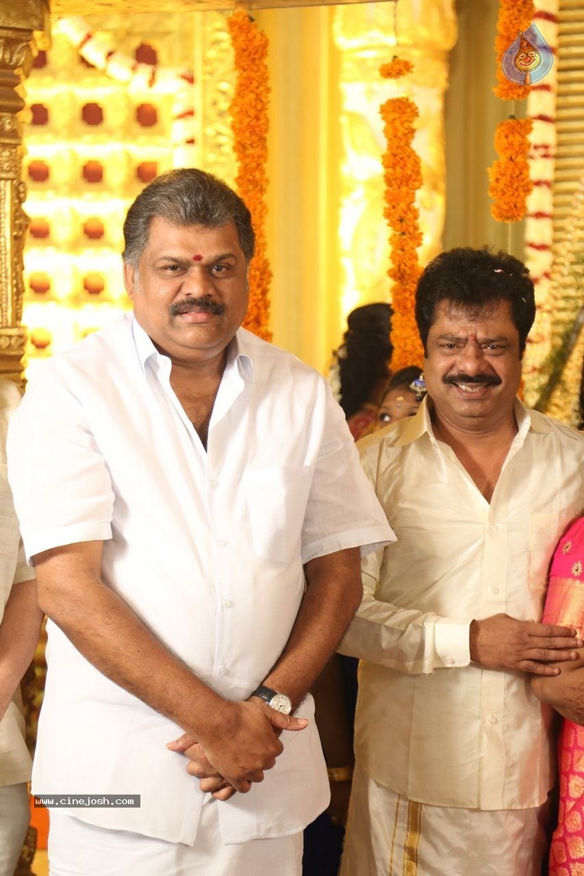 Actor Pandiarajan Son Wedding Photos - 50 / 73 photos