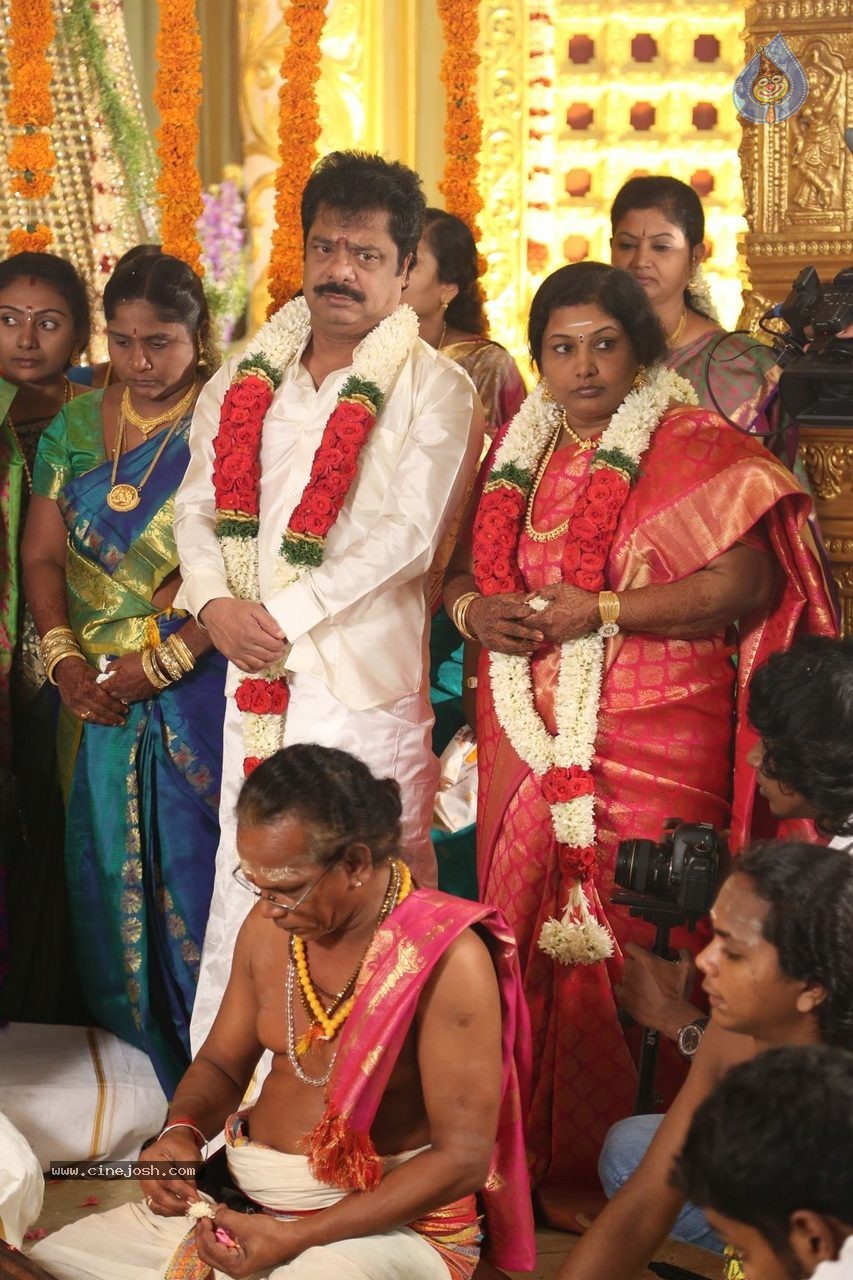 Actor Pandiarajan Son Wedding Photos - 52 / 73 photos