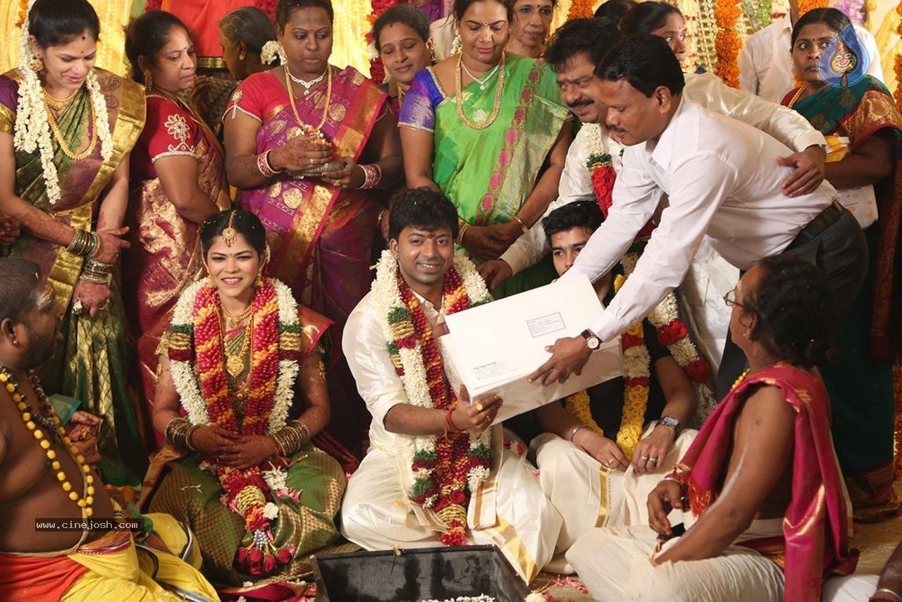 Actor Pandiarajan Son Wedding Photos - 56 / 73 photos