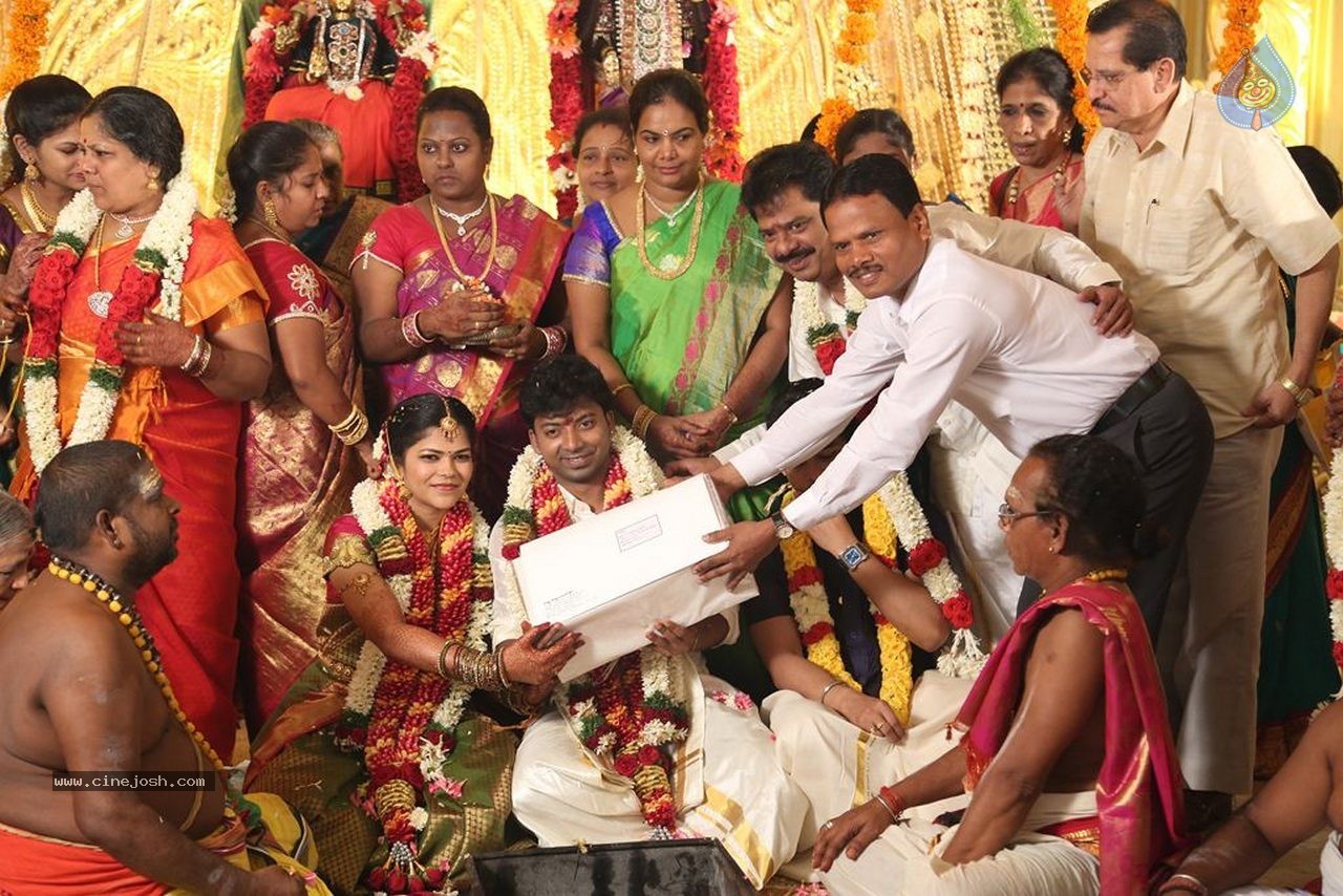 Actor Pandiarajan Son Wedding Photos - 58 / 73 photos