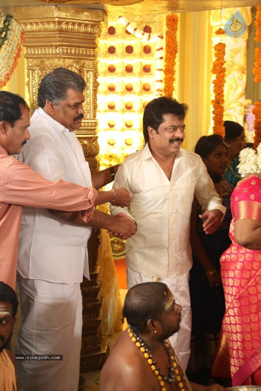Actor Pandiarajan Son Wedding Photos - 63 / 73 photos