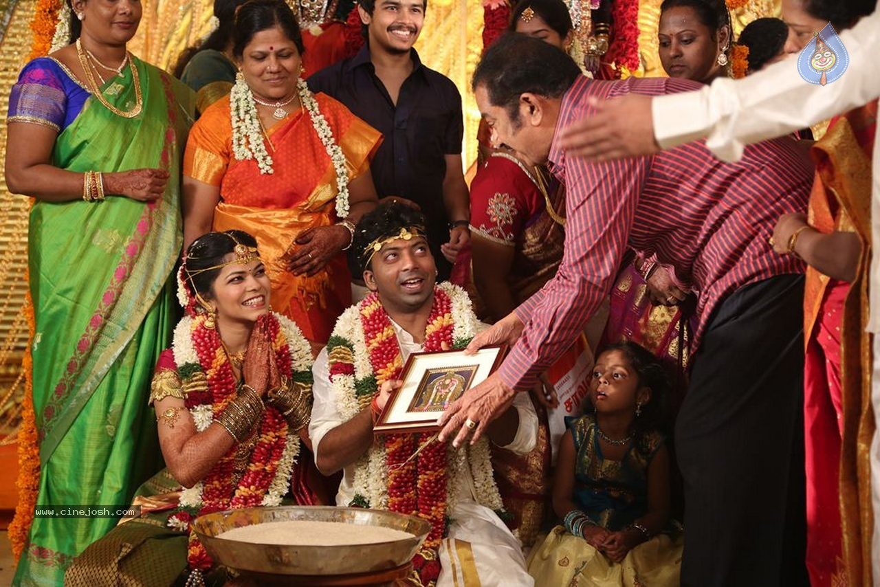 Actor Pandiarajan Son Wedding Photos - 69 / 73 photos