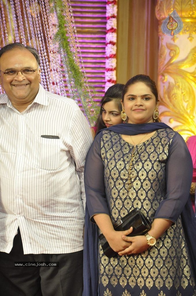 Actor Pandiarajan Son Wedding Reception - 67 / 102 photos