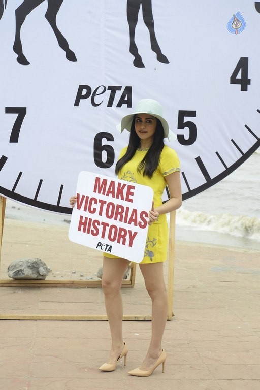 Adah Sharma at PETA Event - 8 / 18 photos