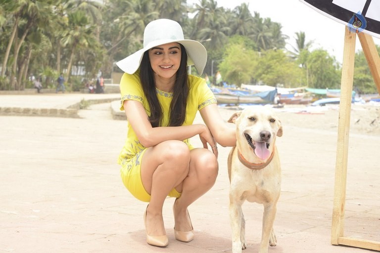Adah Sharma at PETA Event - 11 / 18 photos