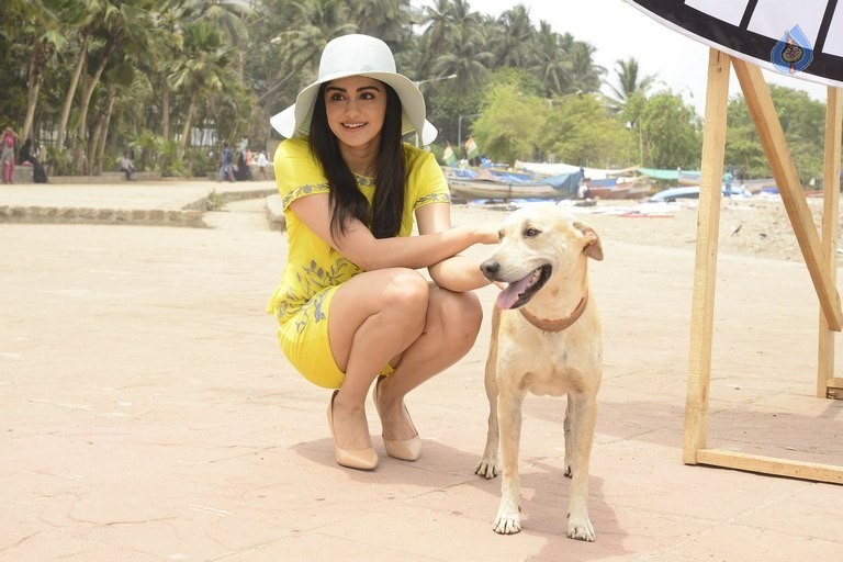 Adah Sharma at PETA Event - 15 / 18 photos