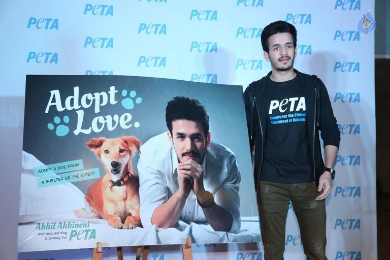 Akhil at PETA Event - 4 / 37 photos