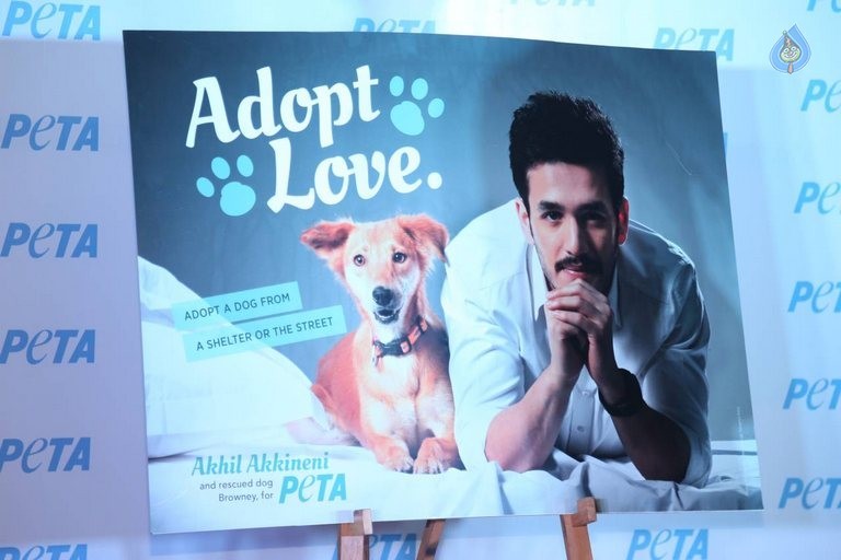 Akhil at PETA Event - 15 / 37 photos