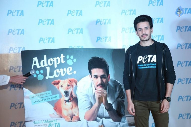Akhil at PETA Event - 35 / 37 photos