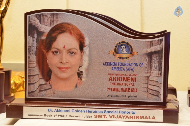 Akkineni International Awards Gala - 59 / 151 photos