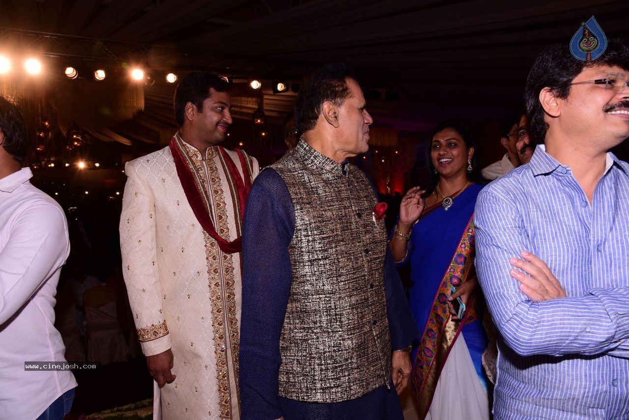 Allari Naresh Wedding Photos 03 - 9 / 227 photos