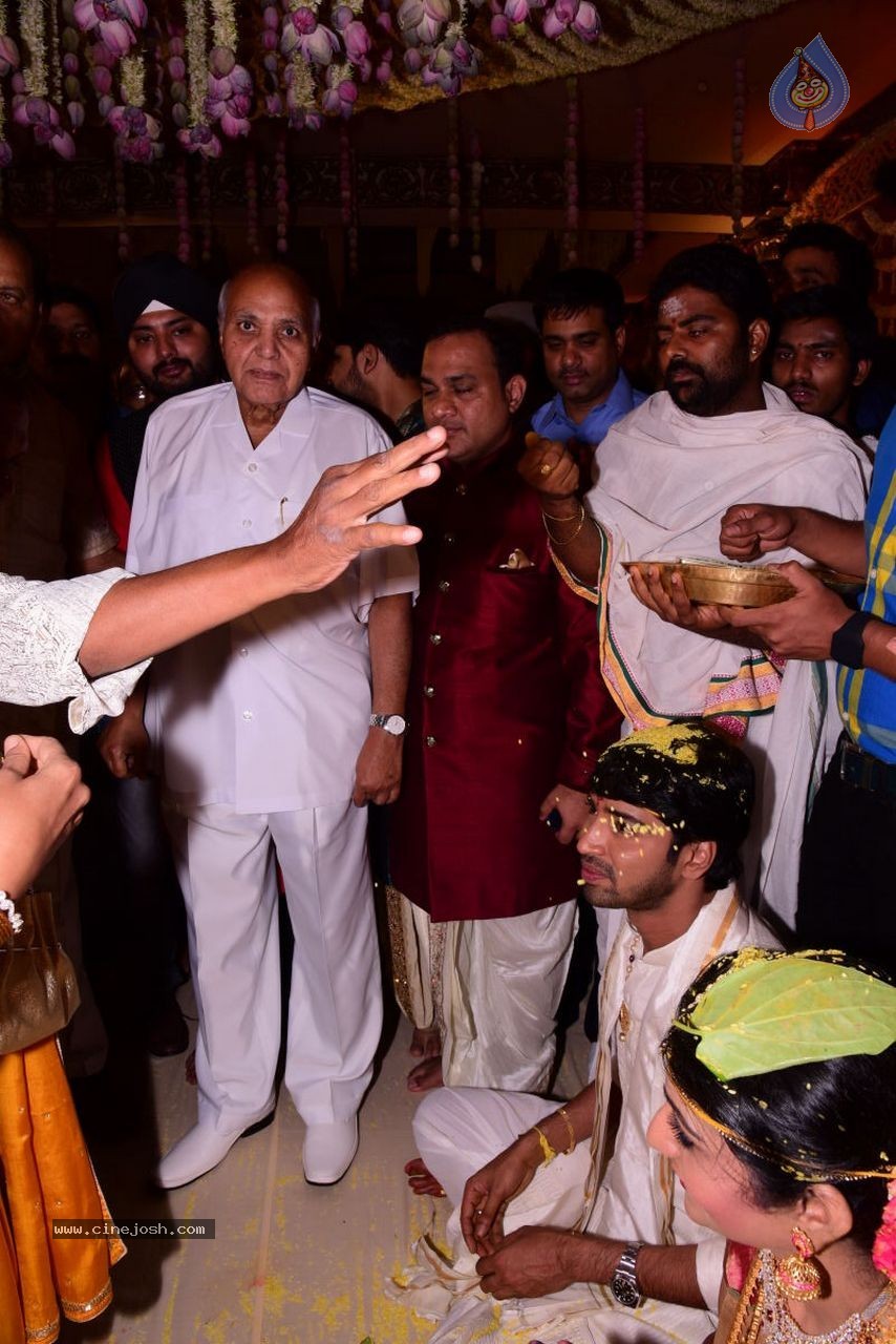 Allari Naresh Wedding Photos 03 - 13 / 227 photos