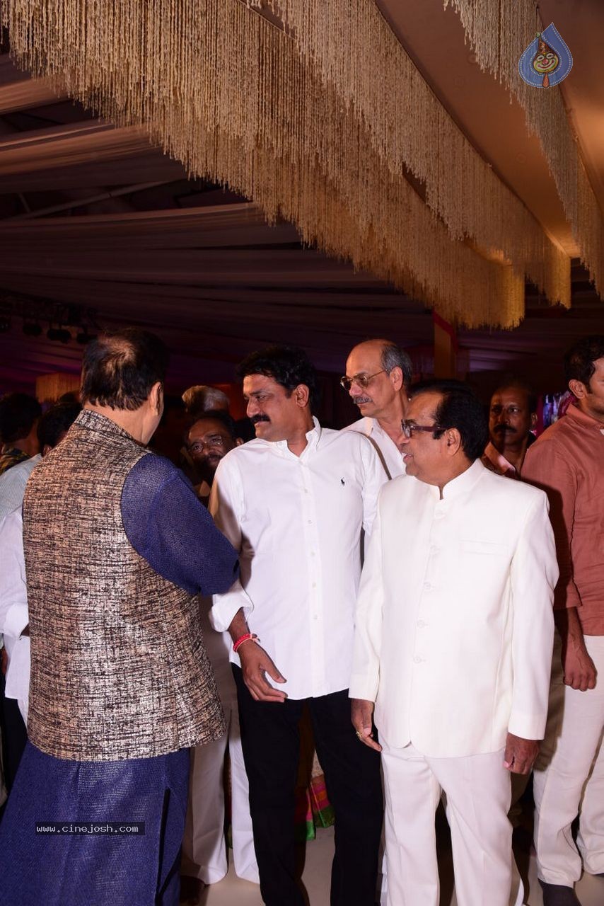 Allari Naresh Wedding Photos 03 - 200 / 227 photos