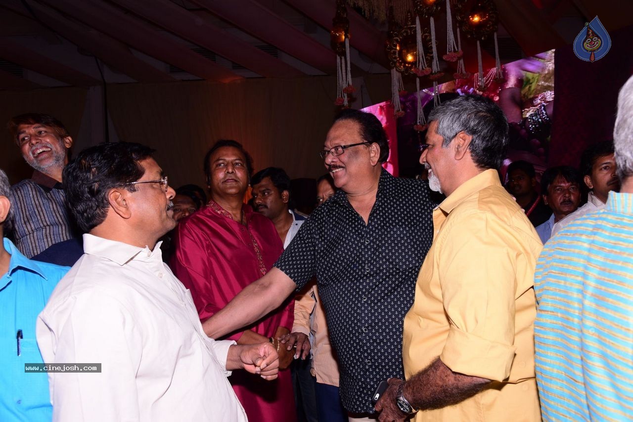 Allari Naresh Wedding Photos 03 - 226 / 227 photos