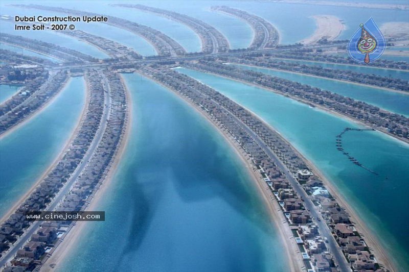 Amazing Palm Beach Houses In Dubai Photo 2 Of 10
