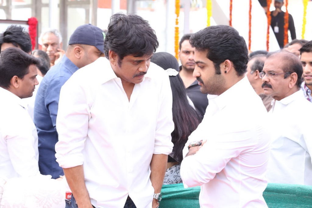 ANR Condolences Photos 03 - 64 / 354 photos