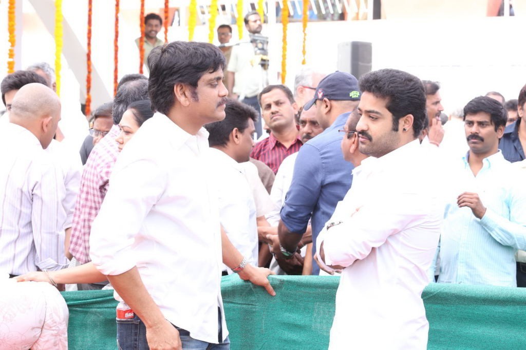 ANR Condolences Photos 03 - 145 / 354 photos
