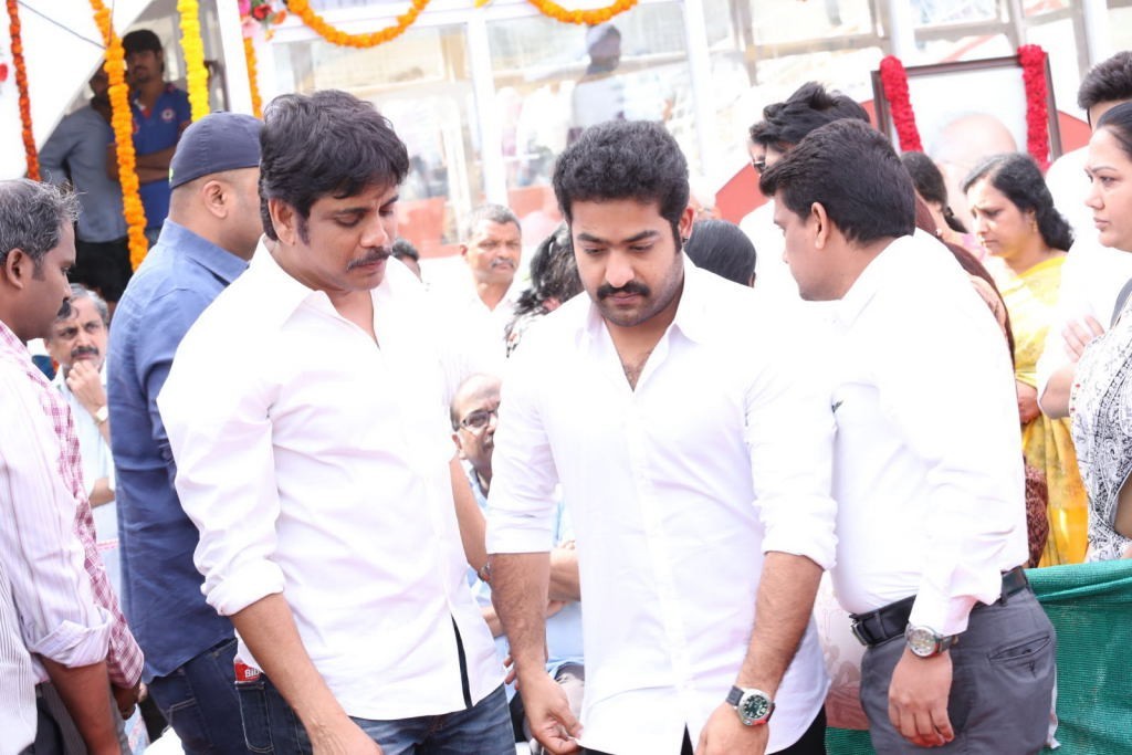 ANR Condolences Photos 03 - 255 / 354 photos