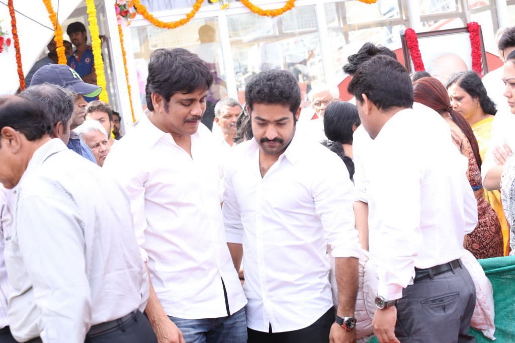 ANR Condolences Photos 03 - 294 / 354 photos