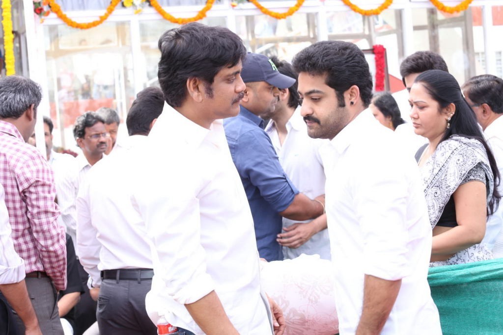 ANR Condolences Photos 03 - 305 / 354 photos