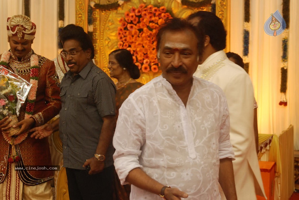 Art Director GK Son Wedding Reception - 5 / 54 photos
