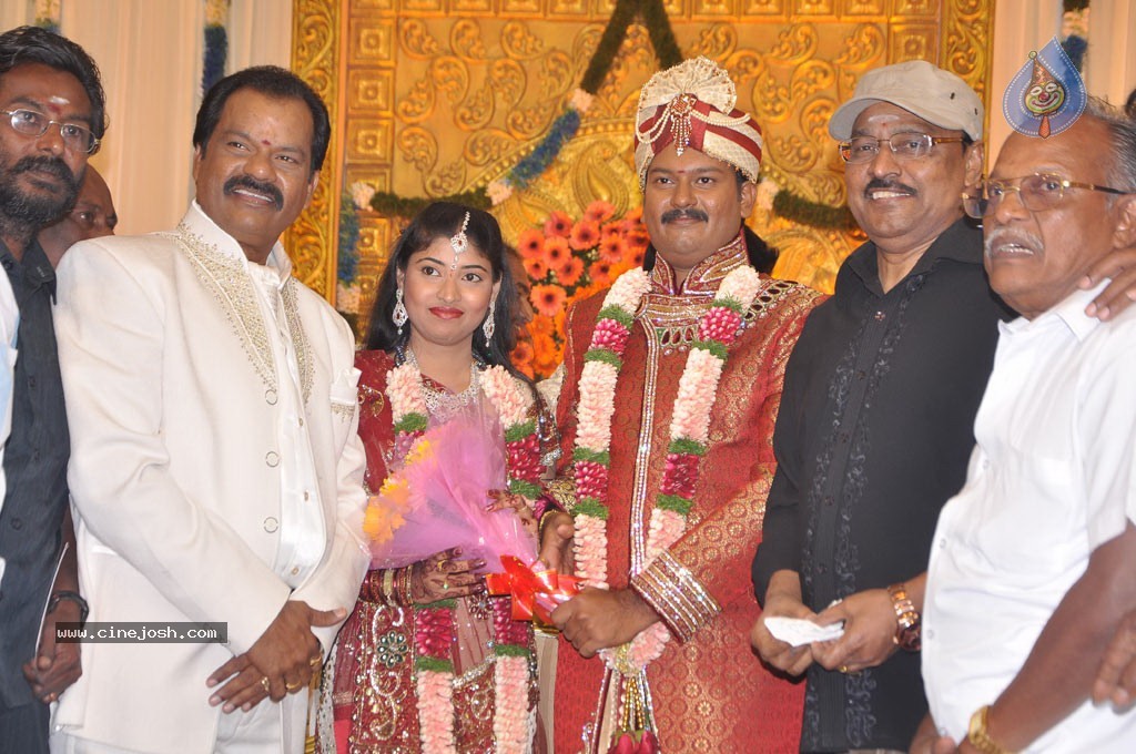 Art Director GK Son Wedding Reception - 37 / 54 photos