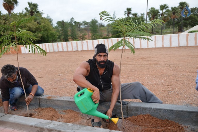 Bahubali Team Participated Haritha Haram Event - 2 / 14 photos