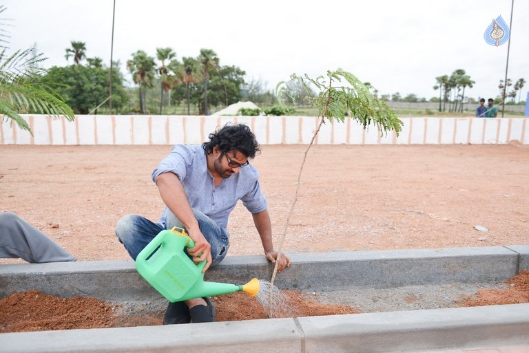 Bahubali Team Participated Haritha Haram Event - 8 / 14 photos