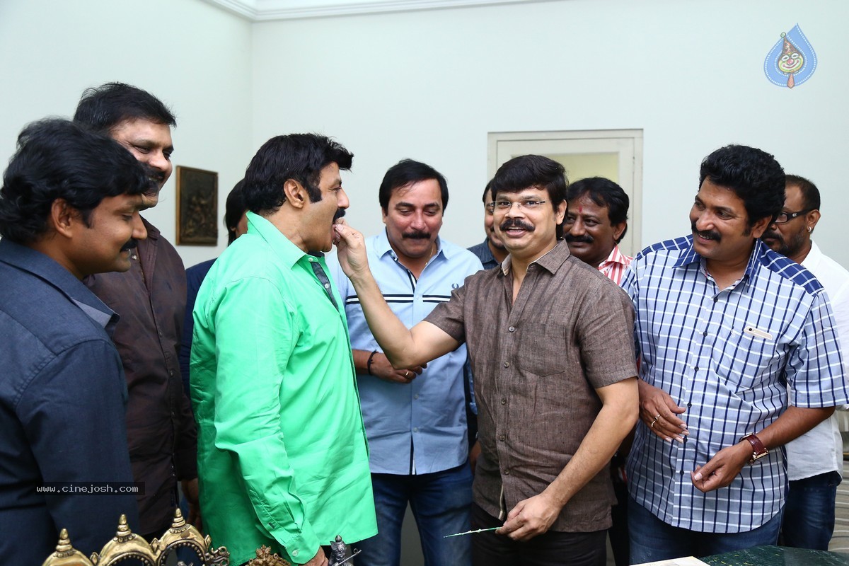 Balakrishna Birthday Celebrations 2015 - 3 / 64 photos