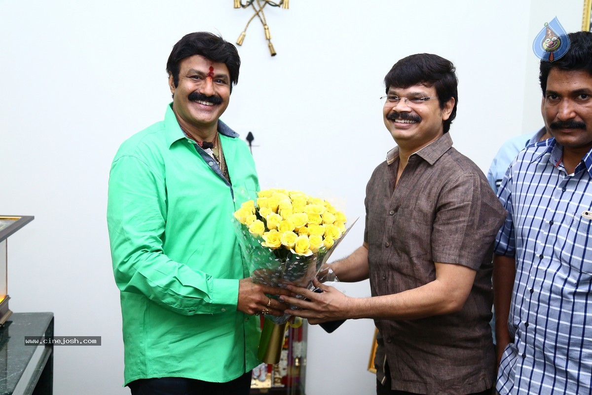 Balakrishna Birthday Celebrations 2015 - 4 / 64 photos