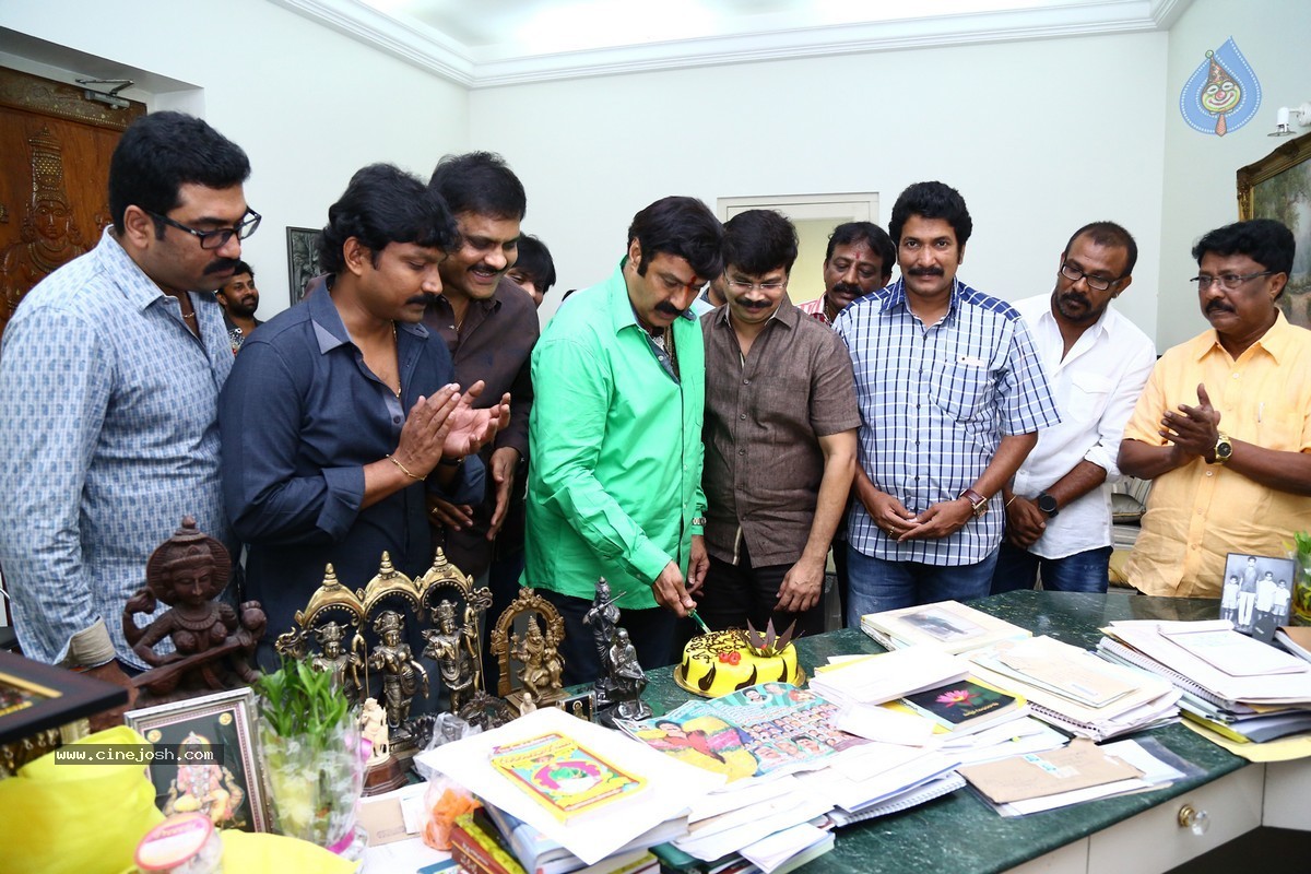 Balakrishna Birthday Celebrations 2015 - 8 / 64 photos