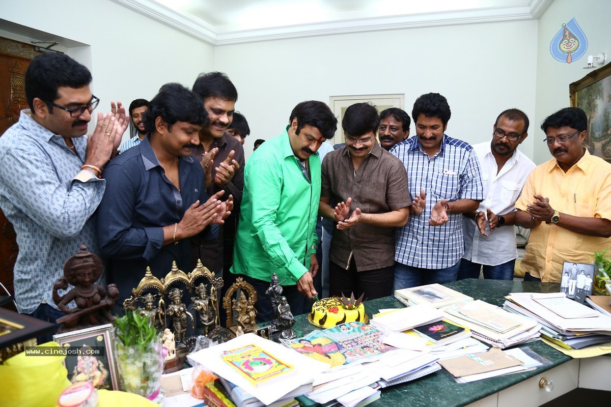 Balakrishna Birthday Celebrations 2015 - 13 / 64 photos