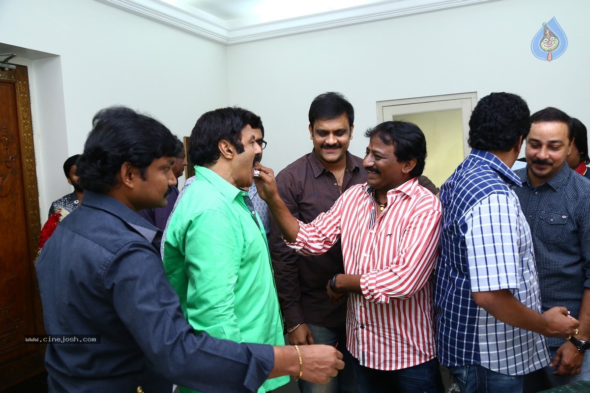 Balakrishna Birthday Celebrations 2015 - 17 / 64 photos