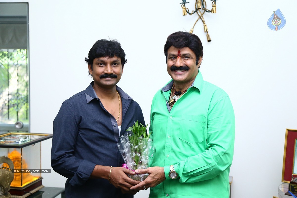 Balakrishna Birthday Celebrations 2015 - 20 / 64 photos