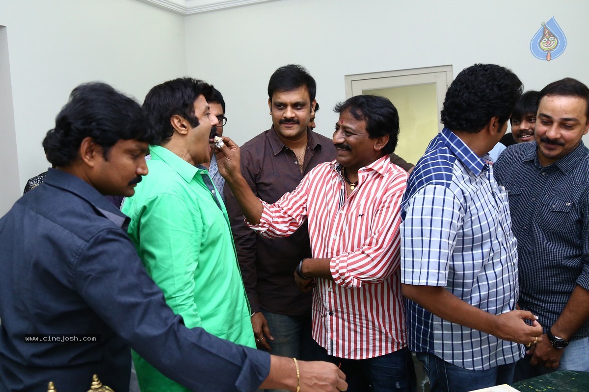 Balakrishna Birthday Celebrations 2015 - 21 / 64 photos